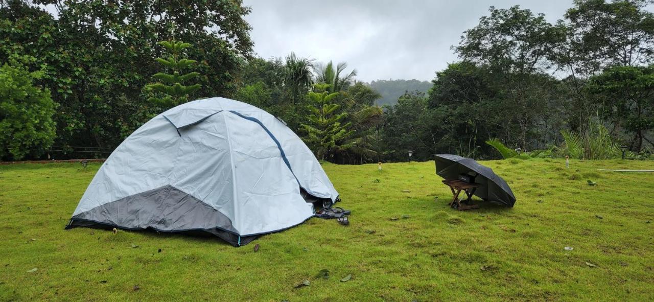 Serene Crest Resort Mananthavadi Kültér fotó