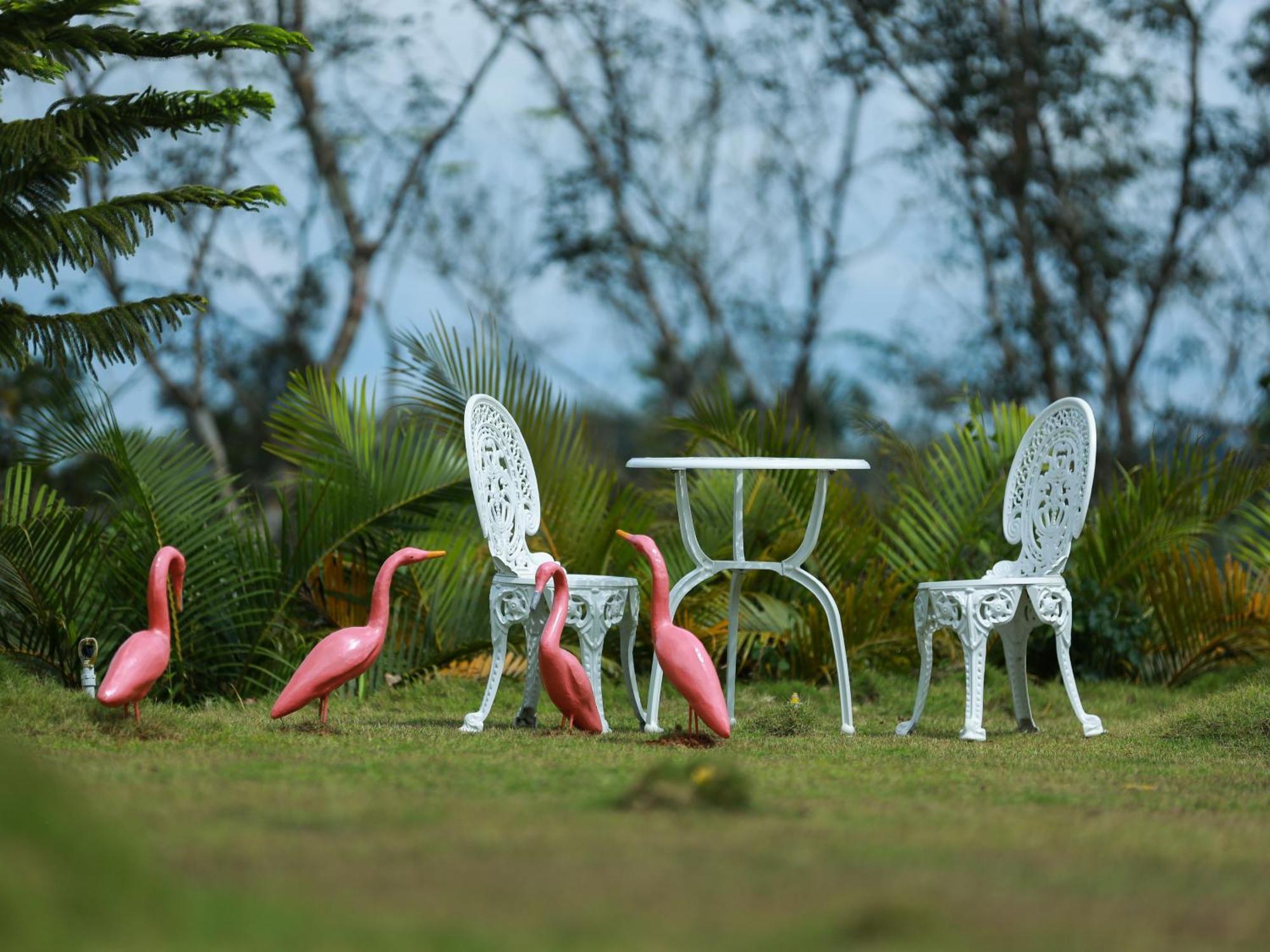 Serene Crest Resort Mananthavadi Kültér fotó